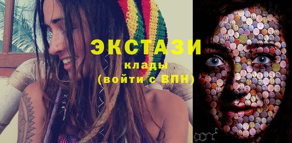 мдпв Гусев