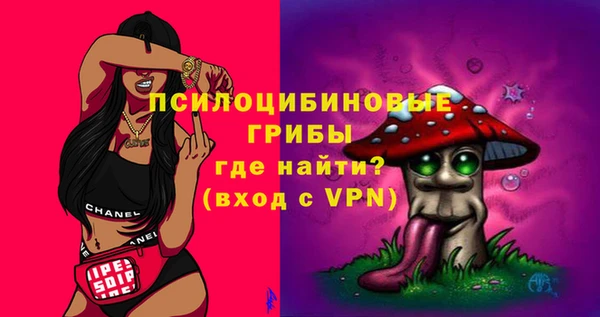 гидра Гусиноозёрск